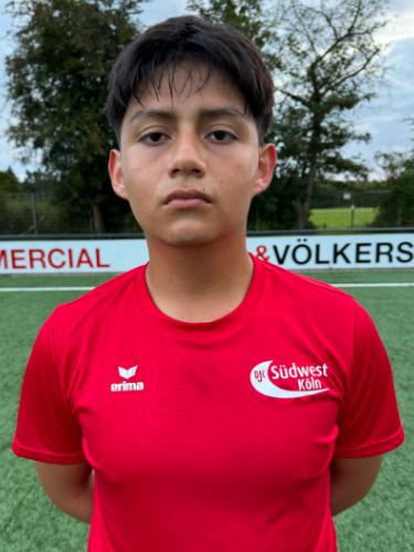 Williams Joel Gonzales Fiallos