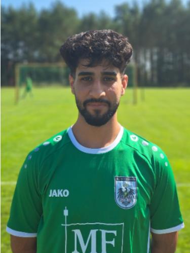 Aziz Ali Ahmed Ahmed