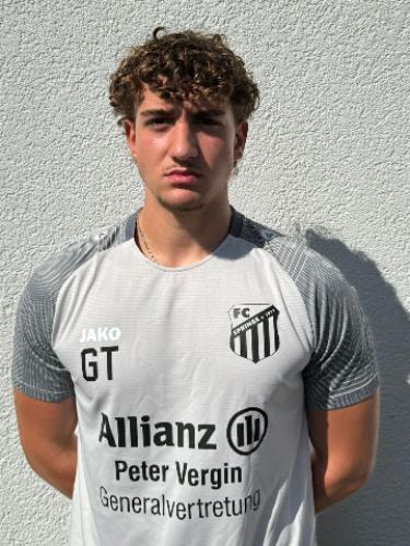 Giuliano Luigi Di Tullio