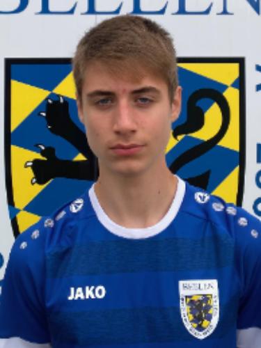 Constantin Vlad Ursache