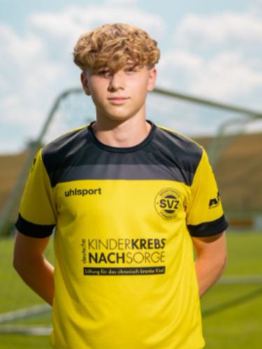 Fabian Lutz