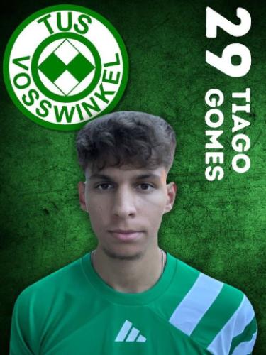 Tiago Ramon Gomes