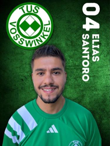 Elias Correia Santoro