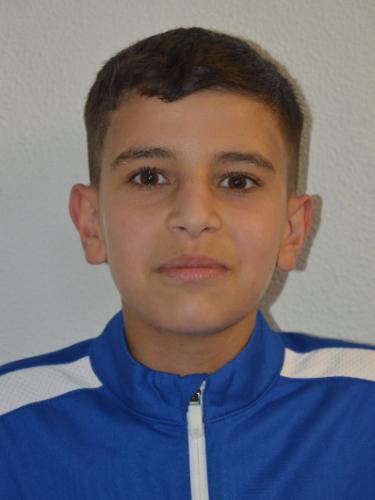 Mohamad Ali Alahmad