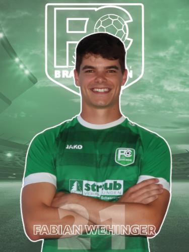 Fabian Wehinger