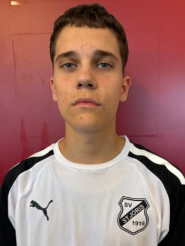 Felix Leonhard Hermanns