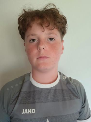 Leo Heinz Jaro Grünen