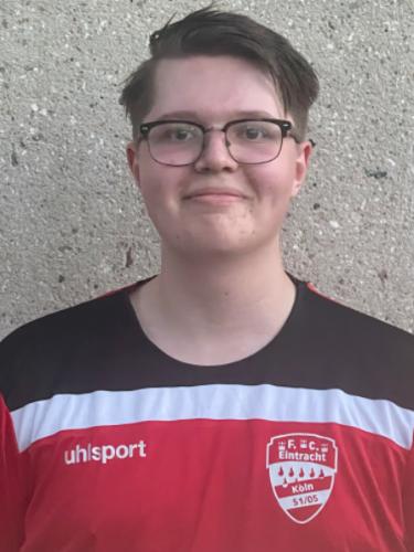 Theo Brönneke