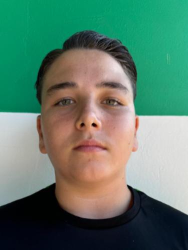 Alessandro Vincenzo Giuliano