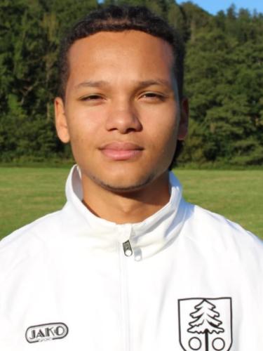 Dauri Schollmaier
