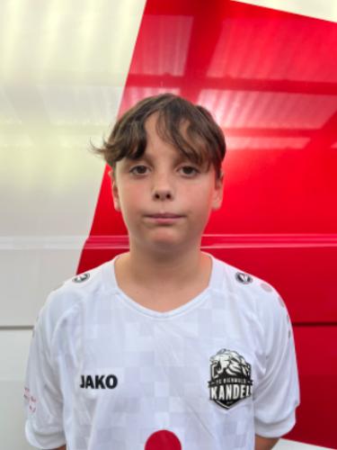 Louis-Henri Josse Bonaudo