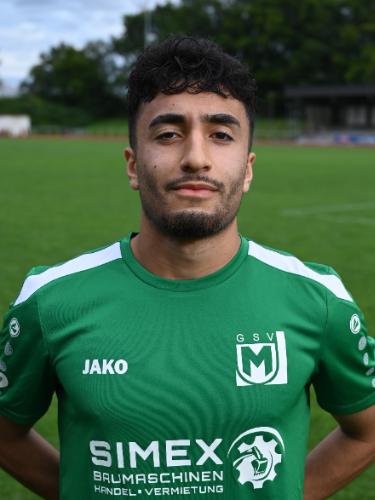 Muhsin Alper Kocas
