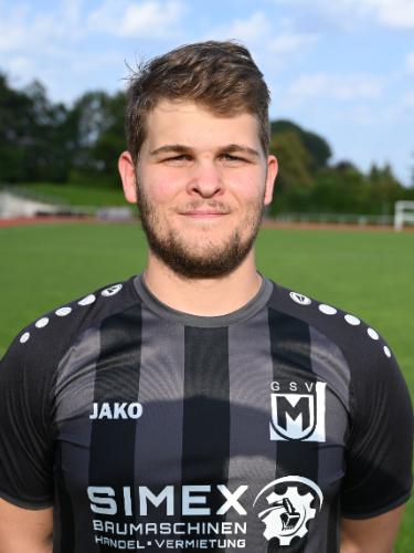 Henrik Mertens