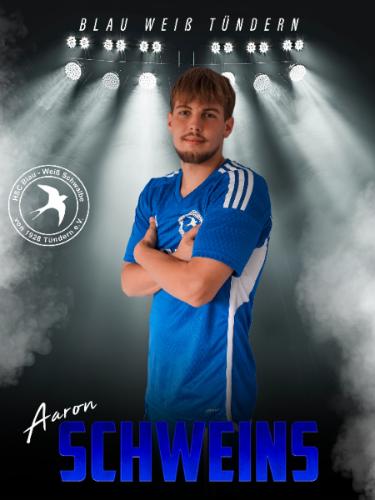 Aaron Schweins
