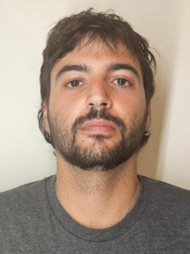 Stavros Dimitrios Damis