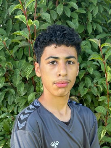 Mohamad Mahyar Alfathi