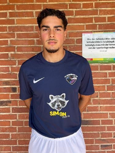 Mohammad Tareq Sarwari