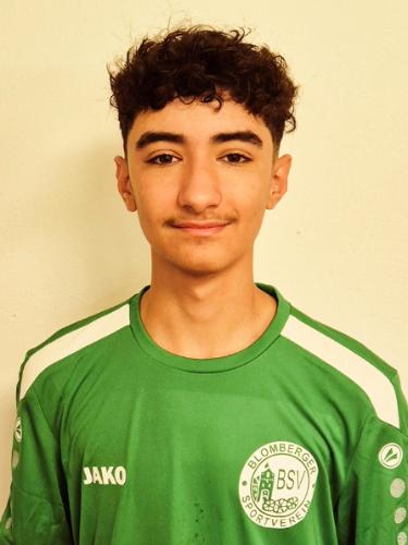 Arda Ögel