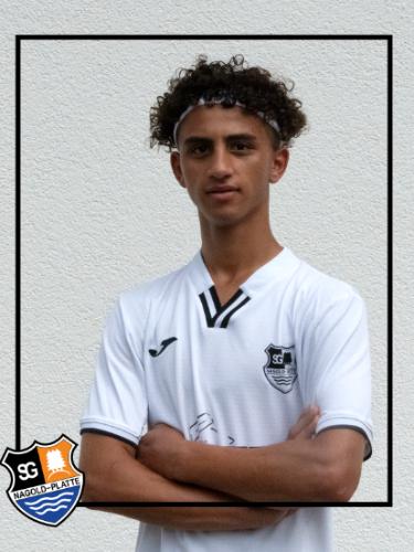Abdelrahman R. O. Zourob
