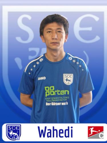 Mohammad Mahdi Wahedi