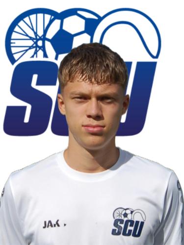 Niklas Briesovsky