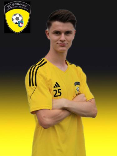 Dominik Langen