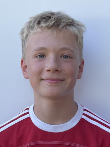 Johann Leeners