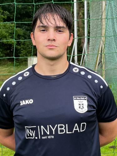 Atilla Hanoglu