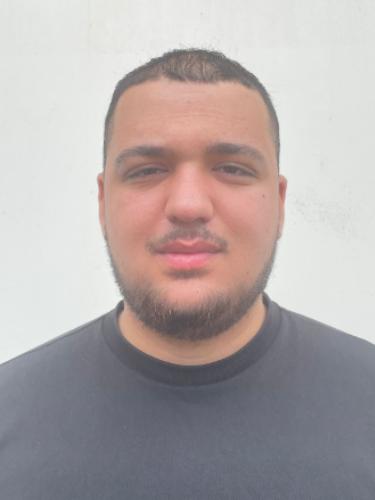 Enis Karadagli
