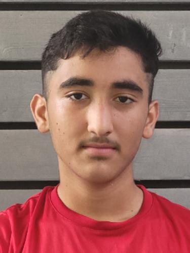 Mahmoud Ahmed