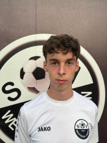 Henry Hans Helmut Schmitz