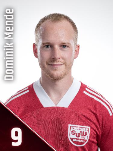 Dominik Mende