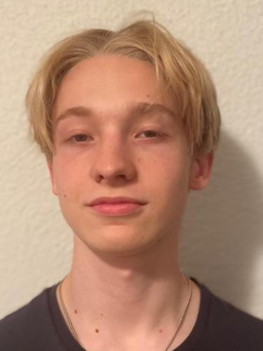 Wolfram Carsten Malitz