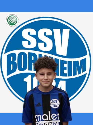 Ozan Dogu Topsakal