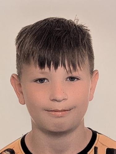 Dominik Singer