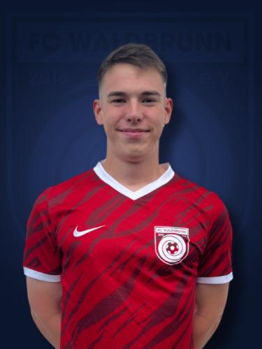 Luca Voll