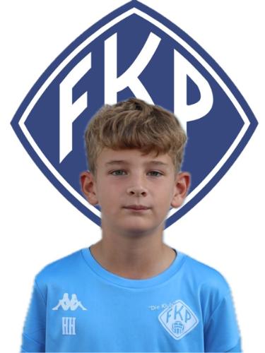 Hendrik Raphael Heim