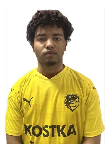 Christian Mickael Holl