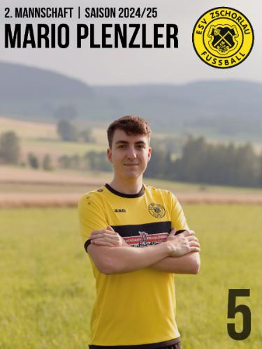 Mario Plenzler