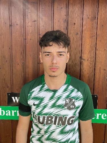 Davide-Ilie Gib