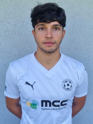 Pedro Henrique Santos Costa