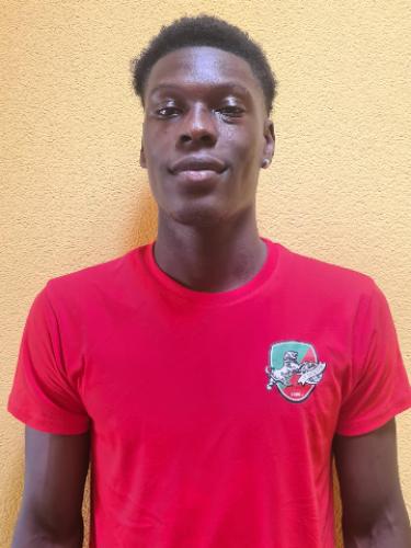 Dawda Martin Njie