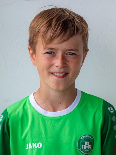Theo Welke
