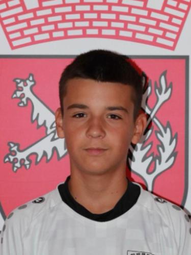 Leo Handanovic