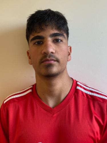 Taha Shamlu