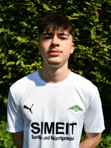Ignacio Nedic Llorente
