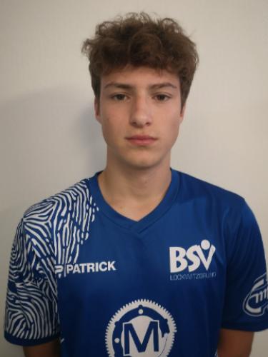 Hannes Auerswald