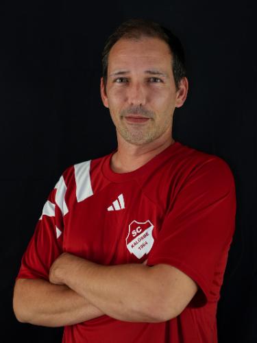 Dennis Mednis