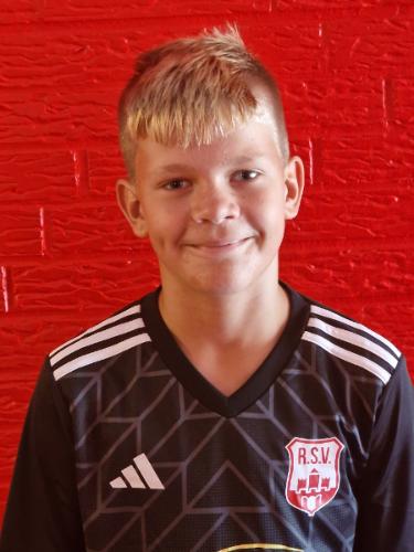 Henry Alexander Werner