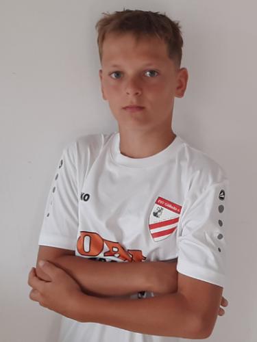 Clemens Aurich